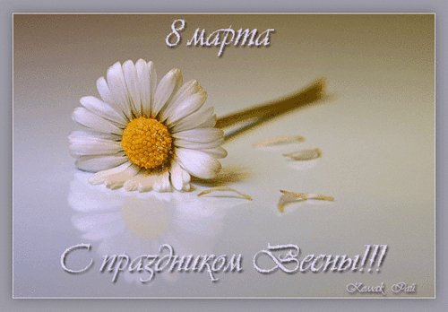 file_14519484