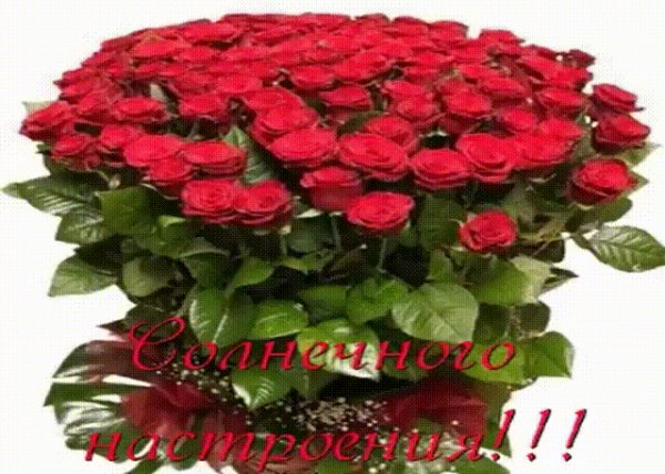 IMG 20191017 000819