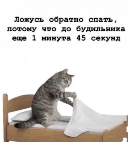 file_103032288