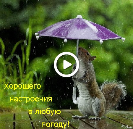 -horoshego-nastroeniya-v-lyubuyu-pogodu-kartinki
