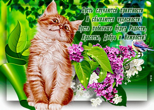 Пусть случаются приятности