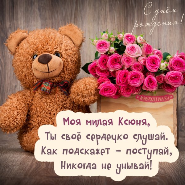 IMG 20190206 149921