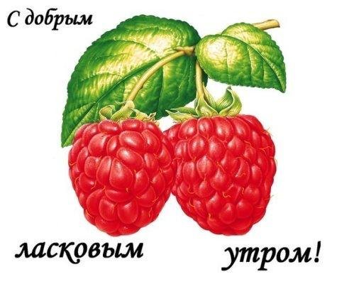 IMG 20190605 770323