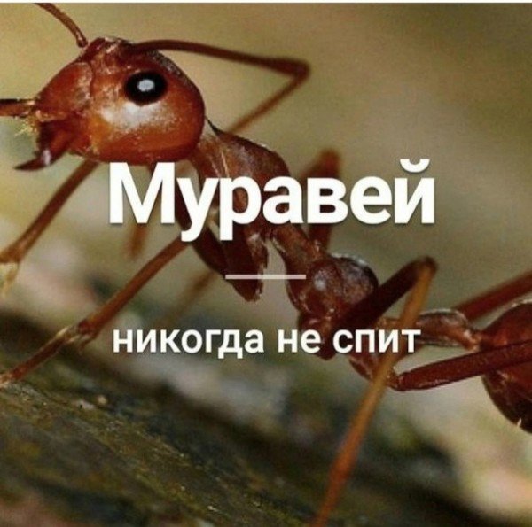 file_94789591