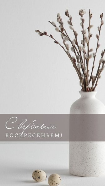 file_93201097