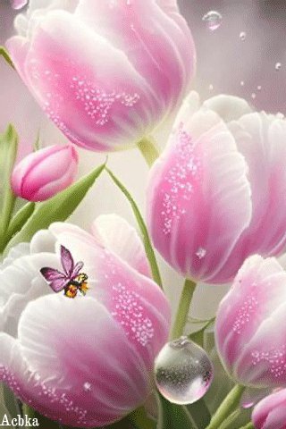file_93757556
