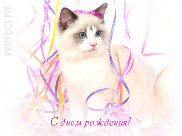 С днём рождения