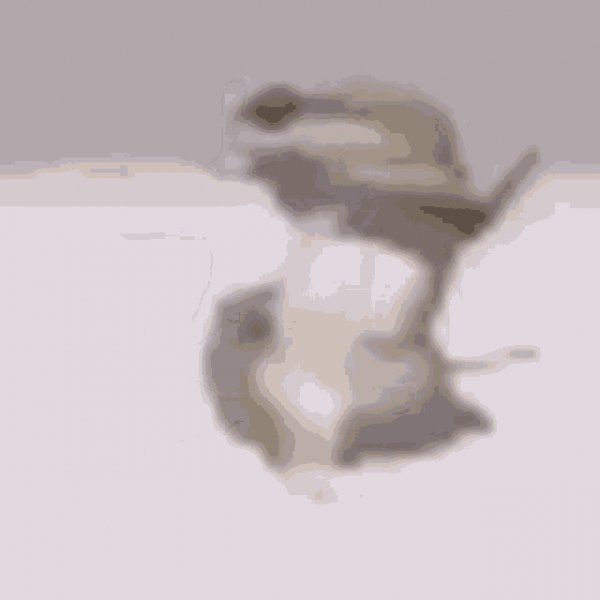 Dancing
