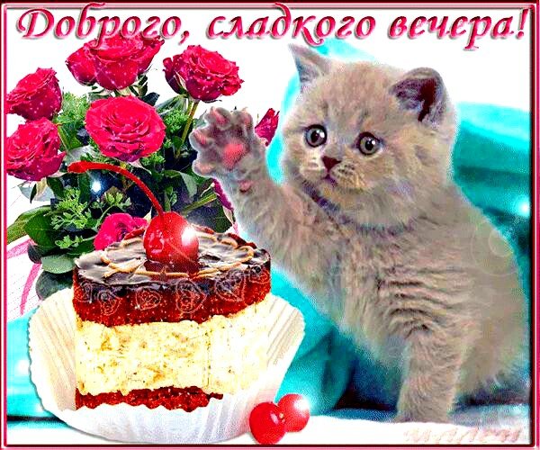 IMG 20181016 175343 240