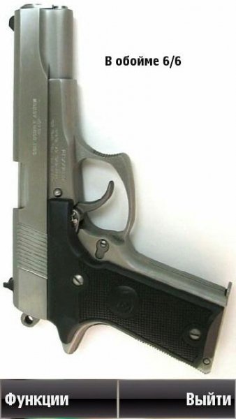 Gun