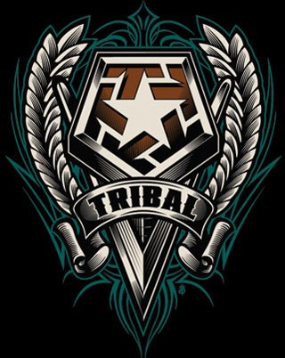 T5