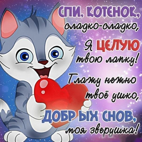 spokoinoi-nochi-sladkih-snov45