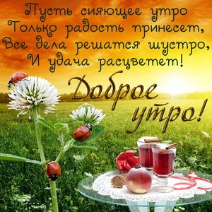 IMG 20190125 009483