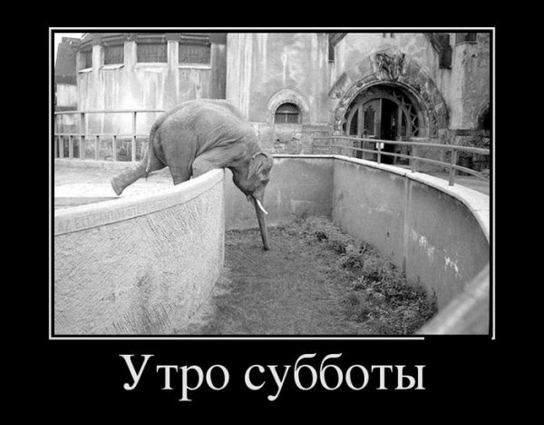 Bez slov-