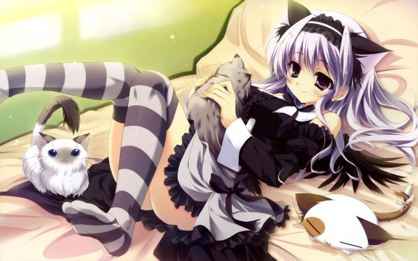 anime-oboi-devushka-s-kotyatami 2560x160