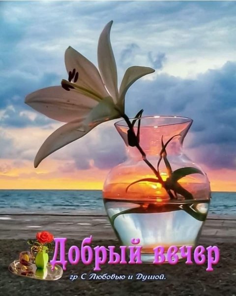 IMG 20190728 172314