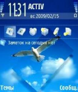 Голубь.pigeon