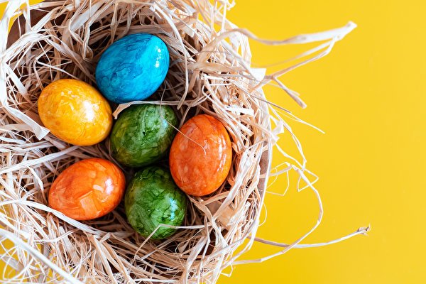Easter Colored background Nest Eggs Multicolor 579902 600x400