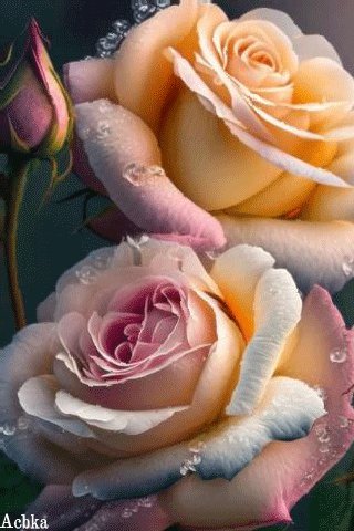 file_93467485