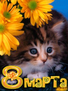 file_14413011
