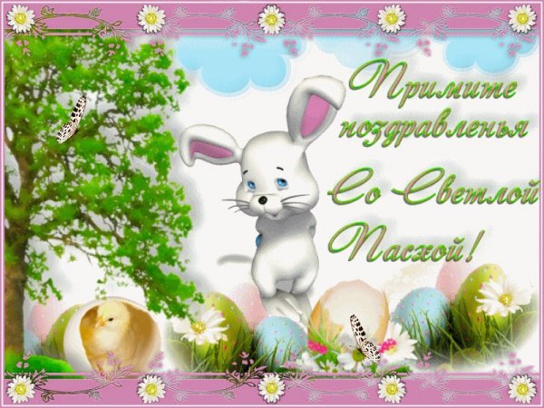 file_84186642