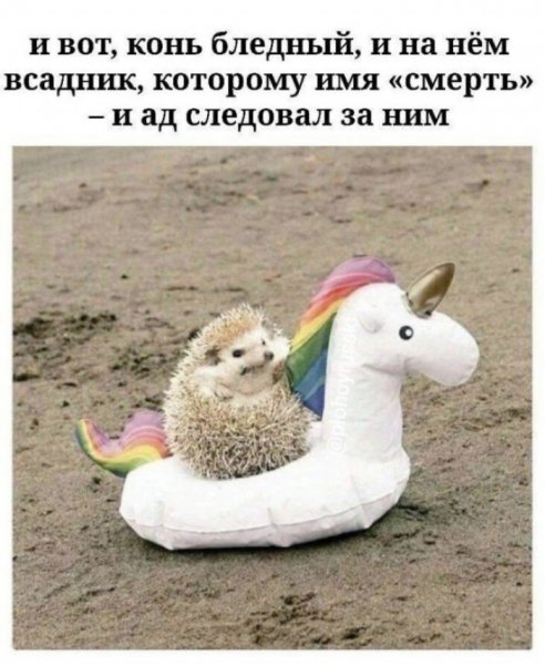file_103253966