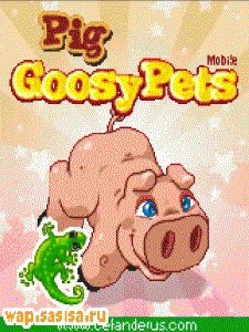 Goosy Pets-Pig