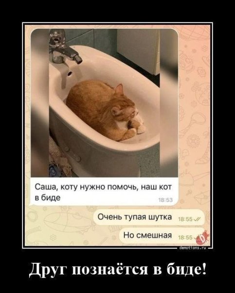 Друг познаётся в биде