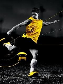 Fernando Torres