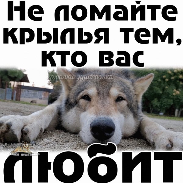 IMG 20230611 190911