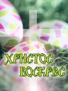 nasimke ru