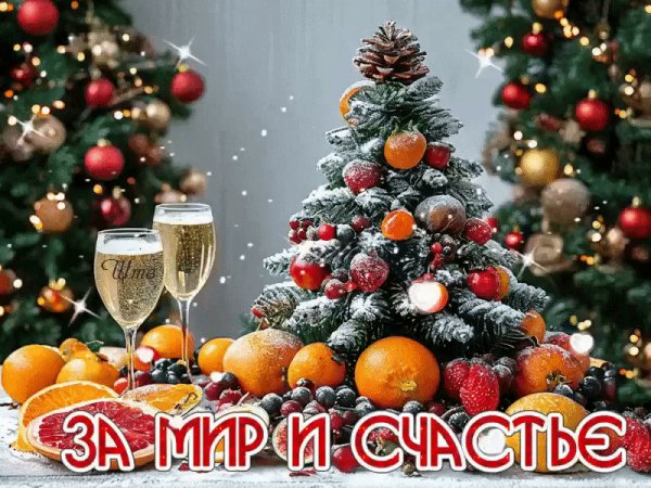 IMG 20260115 105643