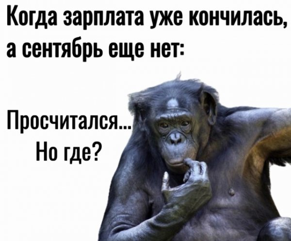 file_97707504
