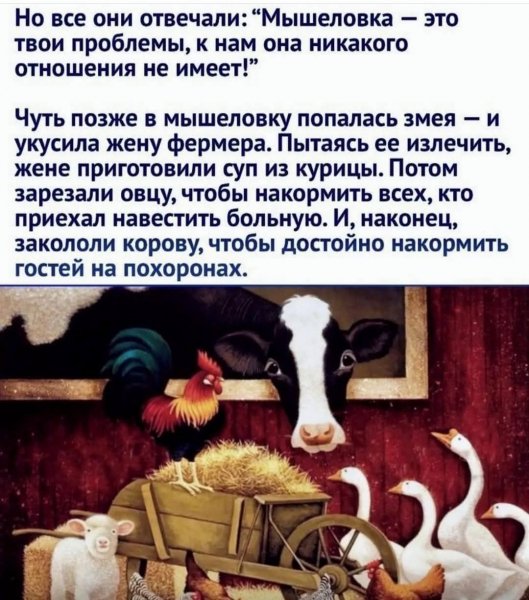 FB IMG 1758219727823