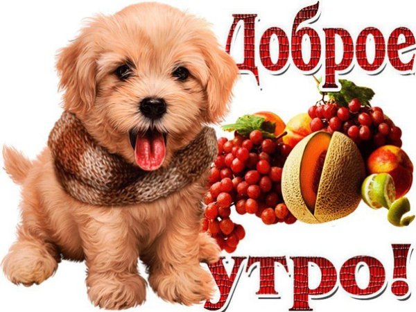 IMG 20190111 708794