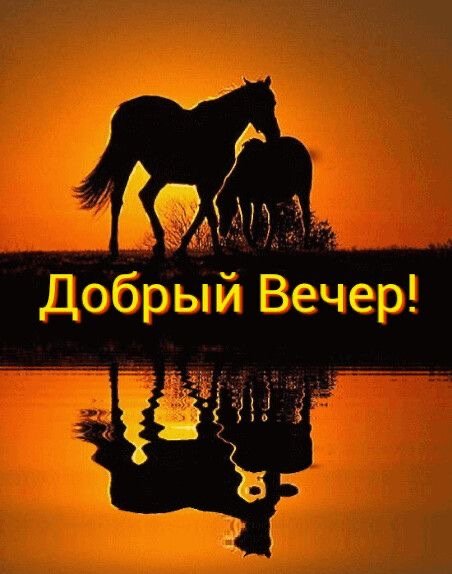 file_90251187