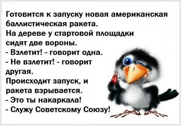 IMG 20251104 154911
