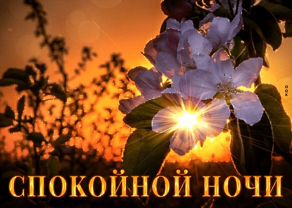 Анимированная открытка спокойной ночи