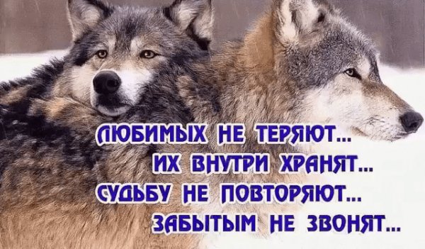 IMG 20180110 135707 37