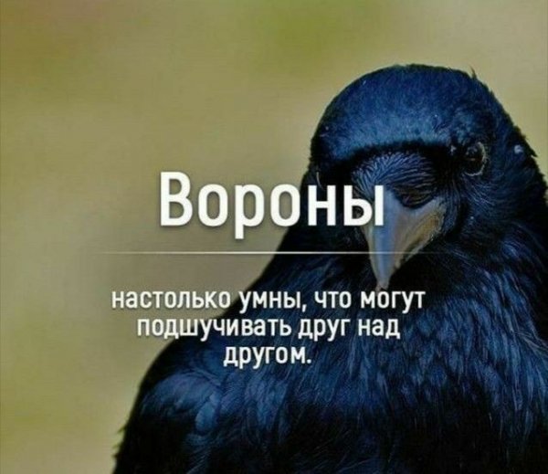 Ab09fcf446a86a99d0edb4139d84c440