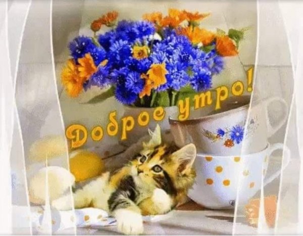 IMG 20190730 140544