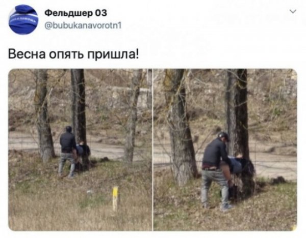 file_103469254