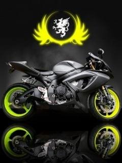 Adidas bike moto