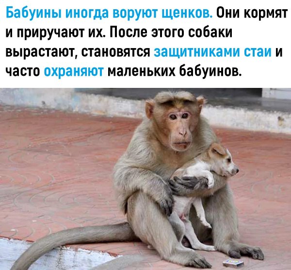 file_83974882