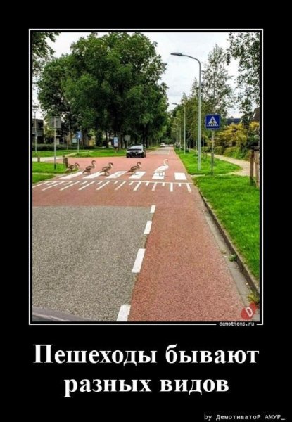 Пешеходы бывают разные