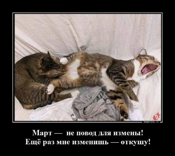 Ещё раз изменишь откушу