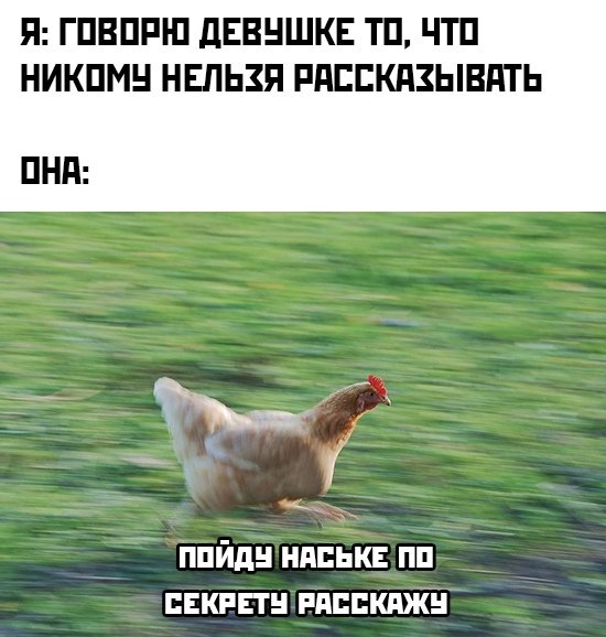 file_103174343