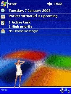 Pocket VirtuaGirl for ARM v1.77