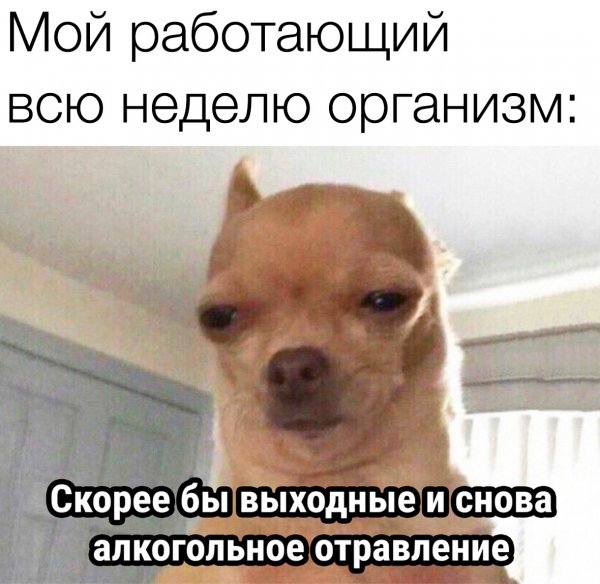 file_94716272