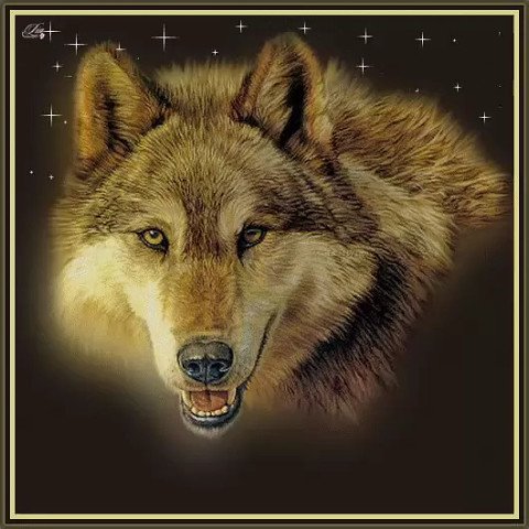 image(46)
